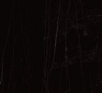 Nylo - 1