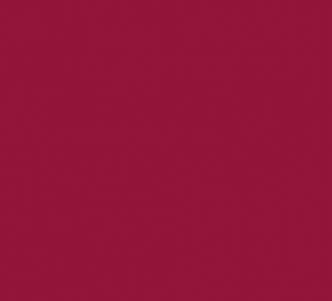 5c0a53d3d89e9.jpg