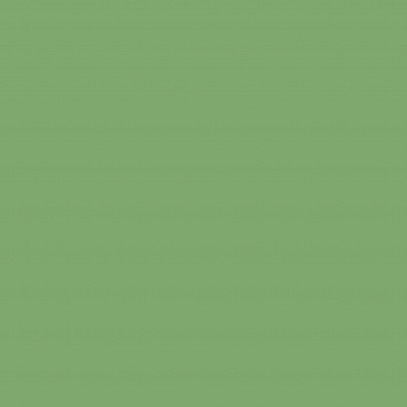 6601 Fall Green
