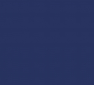 5c0a5534bb100.jpg