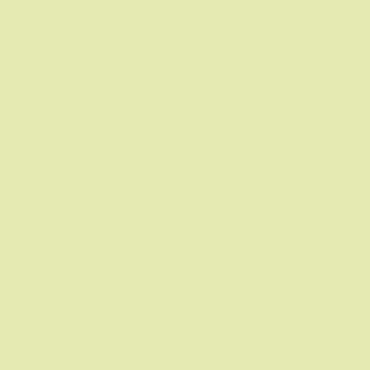 4201 Yellow Light