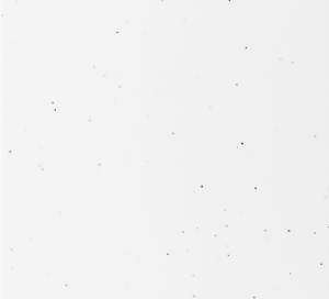 5c0a59910ea8b.jpg