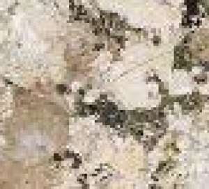 Alpinus White Texture