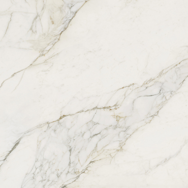 Calacatta Antico Polished