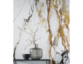 Paonazzo Biondo Silk
