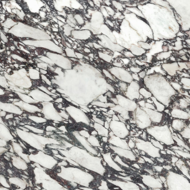 Calacatta Viola Polished