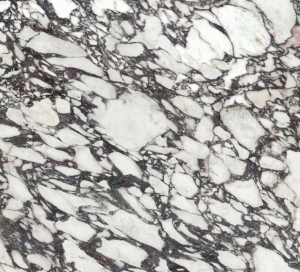 Calacatta Viola Polished