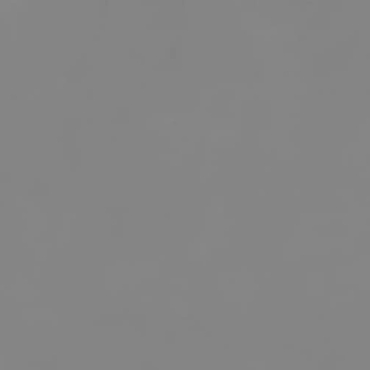 Tadelakt Grey Texture