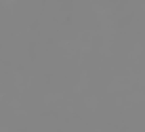 Tadelakt Grey Texture