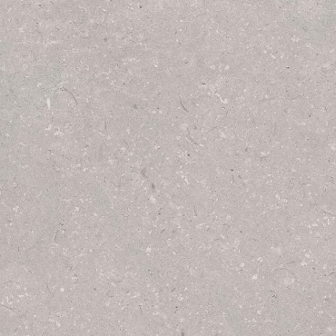 Coral Acero