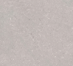 Coral Acero