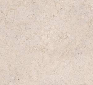 Dorcia Bone